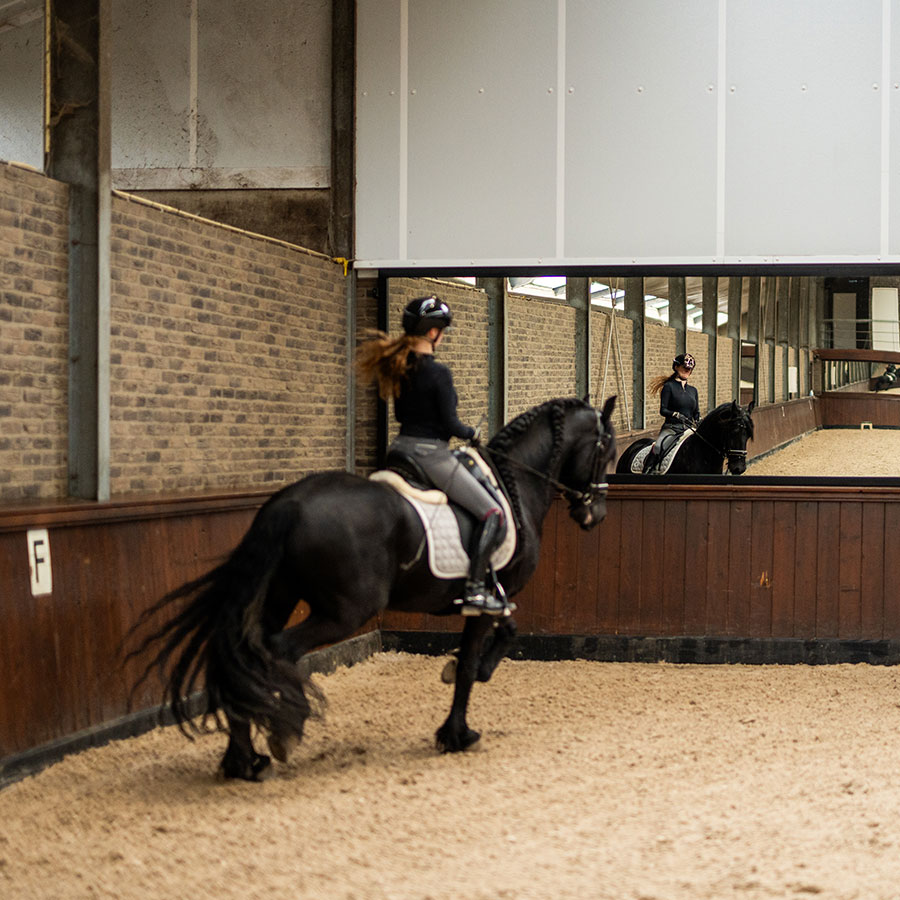 Manegespiegels – Easy Fix Supersafe 510 cm - Afbeelding 2