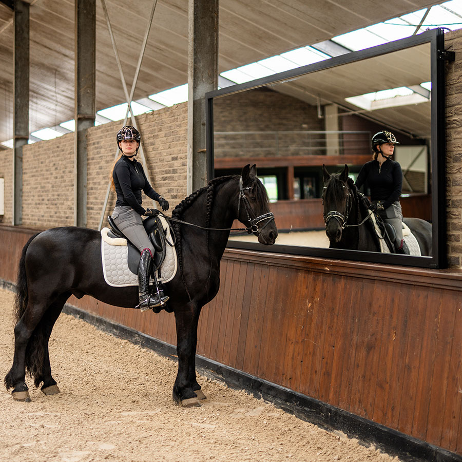 Manegespiegels – Easy Fix Supersafe 510 cm - Afbeelding 6